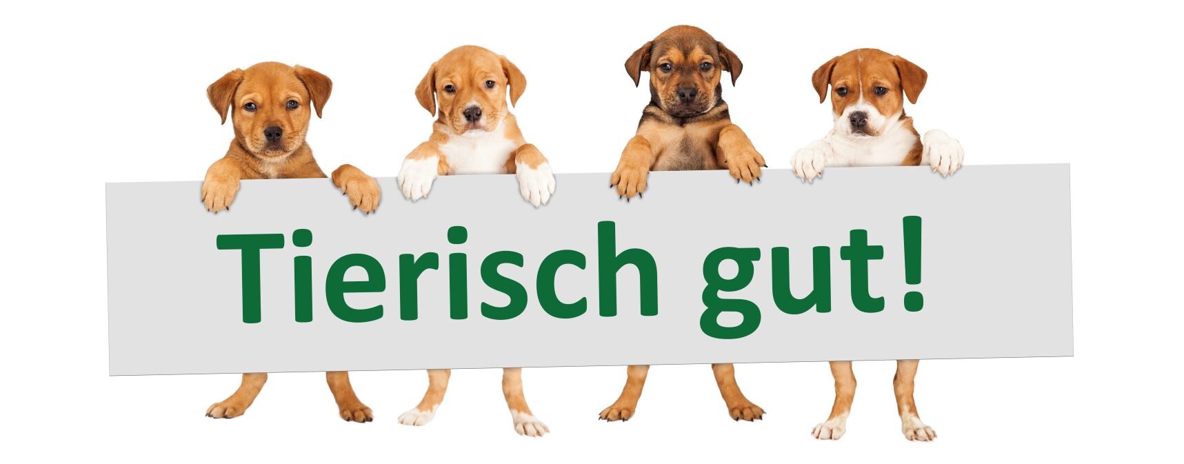 Tierischgut